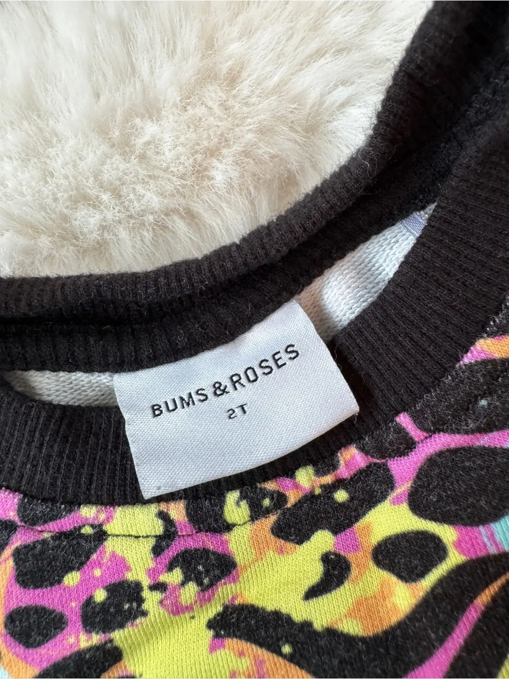 Bums & Roses Multicolor Animal Print Two Piece Jogger Set, Vibrant Rainbow, 2T
